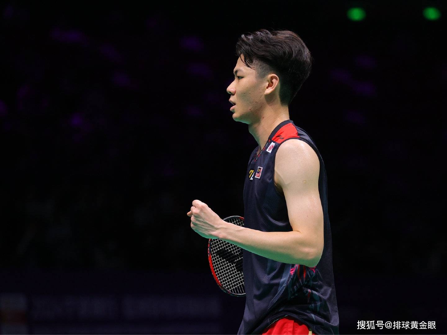 丹麦羽毛球队完胜泰国羽毛球队,安赛龙制霸全场的简单介绍 丹麦羽毛球队完胜泰国羽毛球队,安赛龙制霸全场的简单介绍