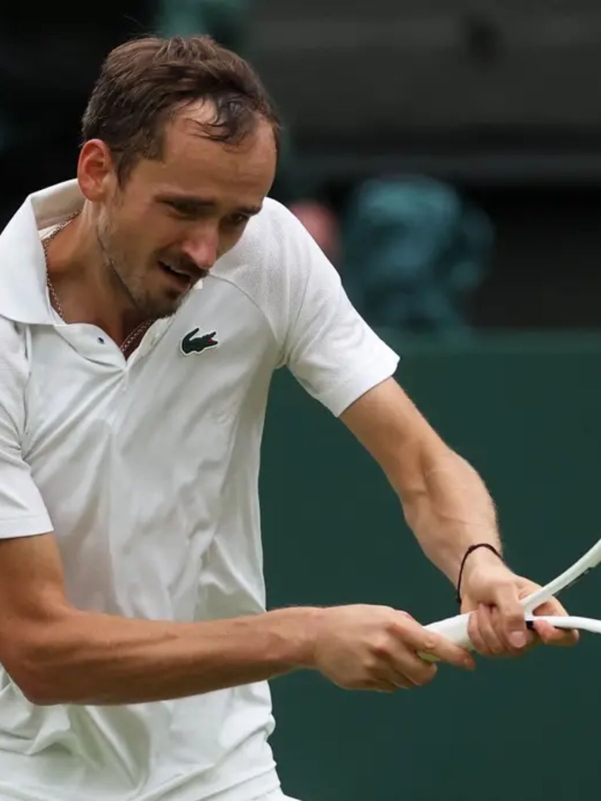 包含戴维斯杯翻盘澳网，梅德韦杰夫扛起全队的词条