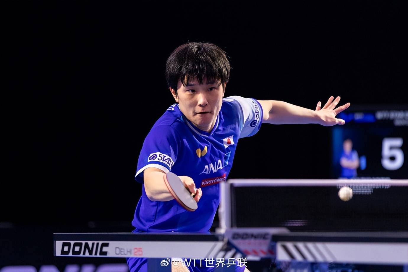 包含波兰队碾压英格兰队，张本智和关键制胜的词条