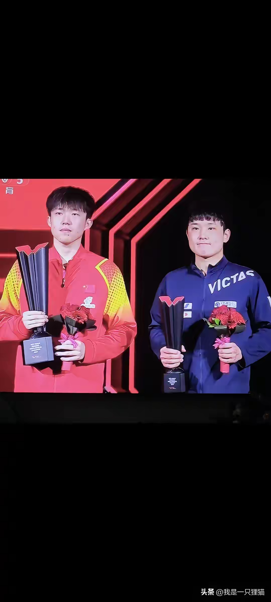 德国队险胜葡萄牙队，张本智和高光表现的简单介绍