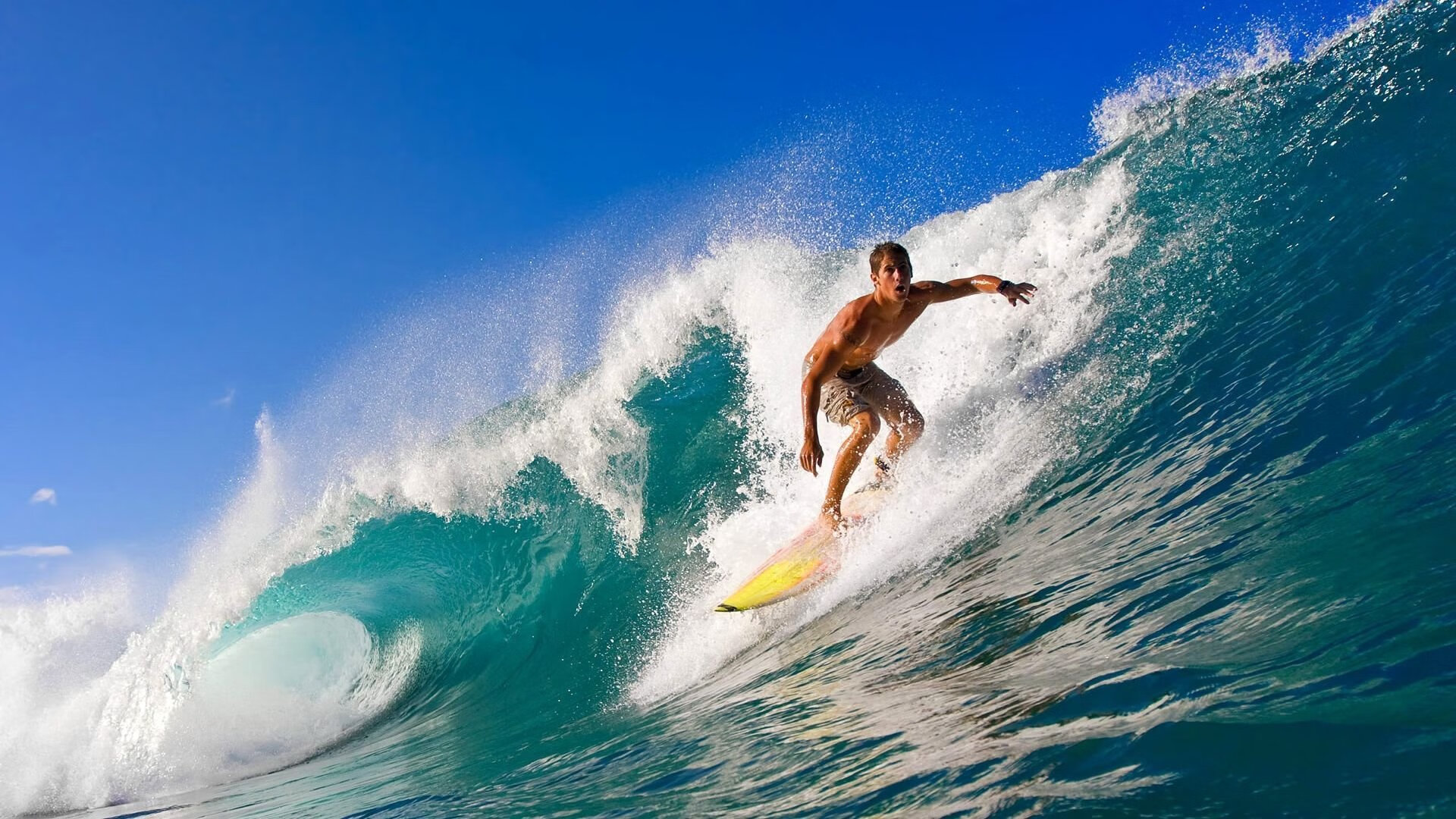 赛道之外的火力对决,浙江队如何以数据压制公牛